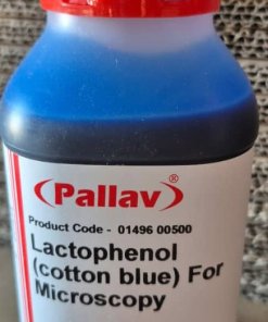 لاکتوفنول کاتن بلو  (Lactophenol cotton blue )